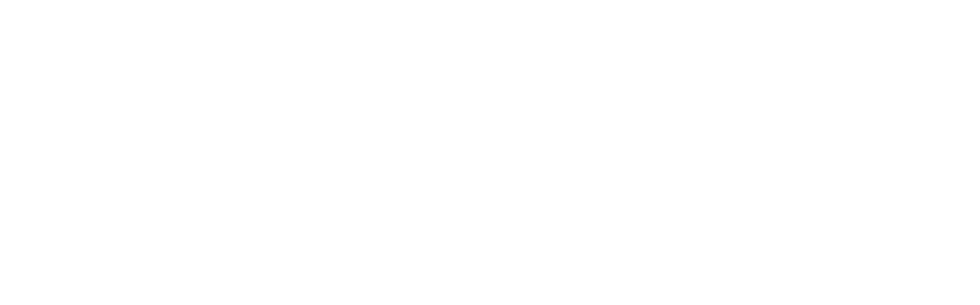 VIS Plus Logo White